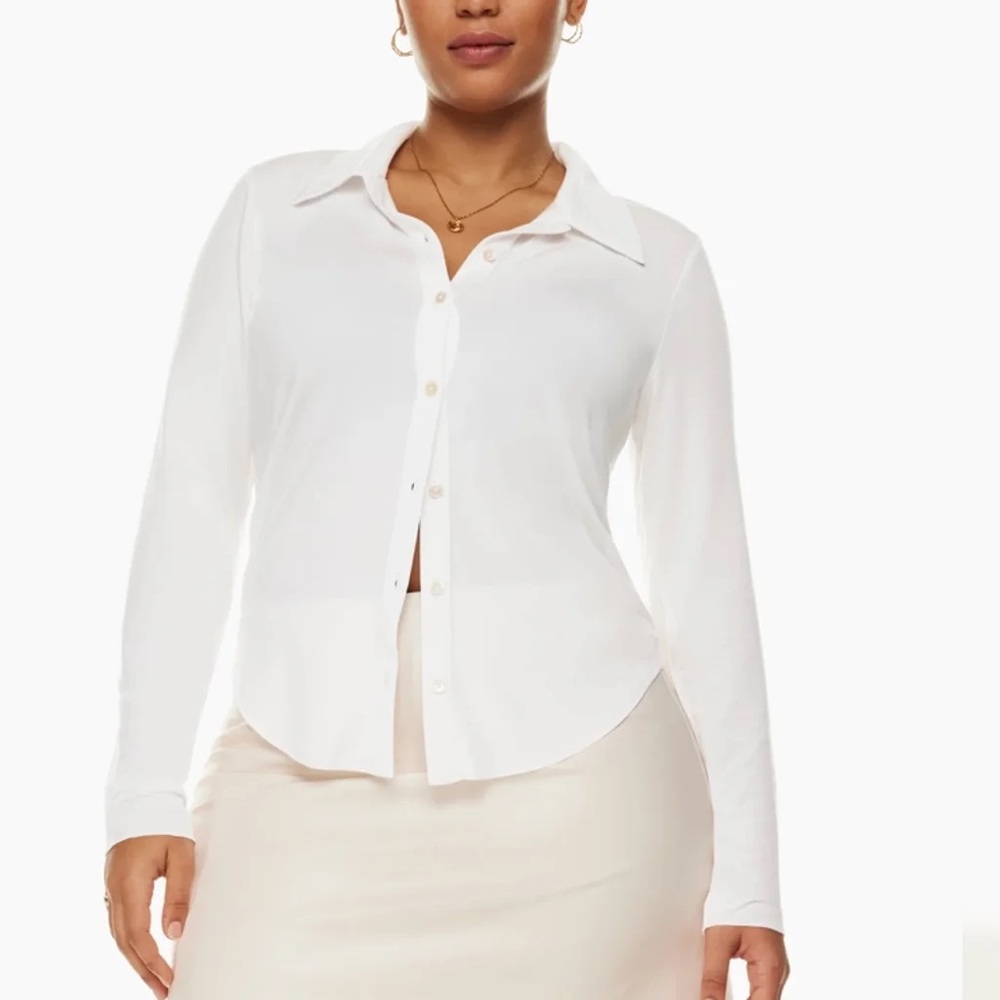 Aritzia Wilfred Button up